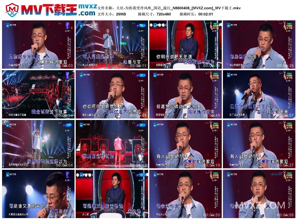 大壮-为你我受冷风吹_国语_流行_N8800408